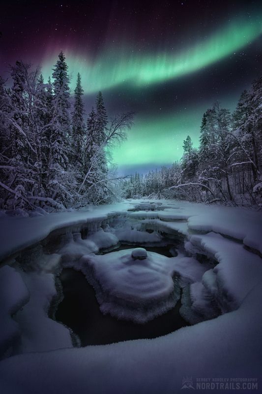 север, мурманск, териберка, хибины, рыбачий, кандалакша, северное сияние Зимние кружева фото превью