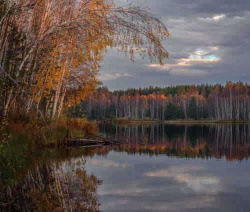Перед рассветом