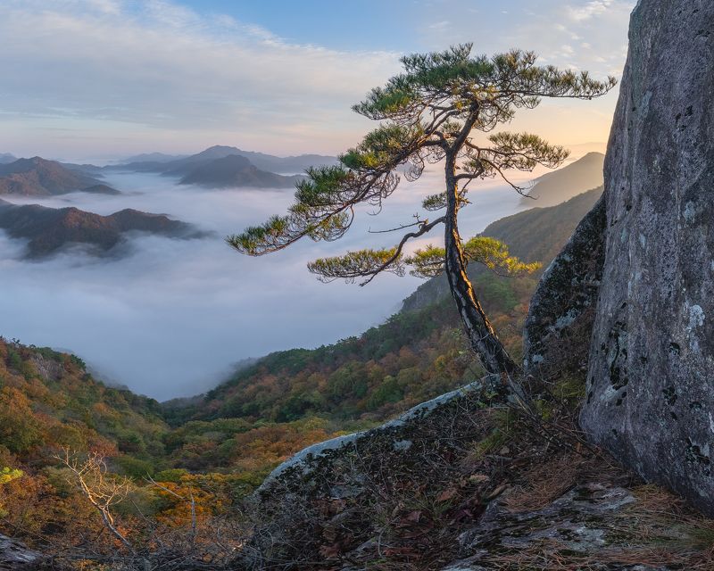 On the cliff below фото превью