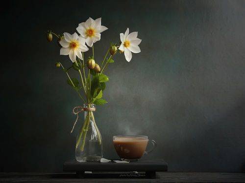 Георгины и кофе с молоком..