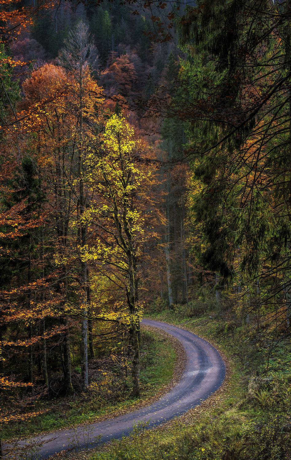 , Сигидова Ирина