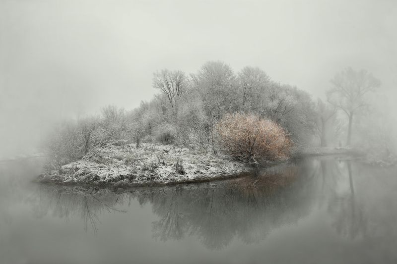 осень Осенний куст фото превью