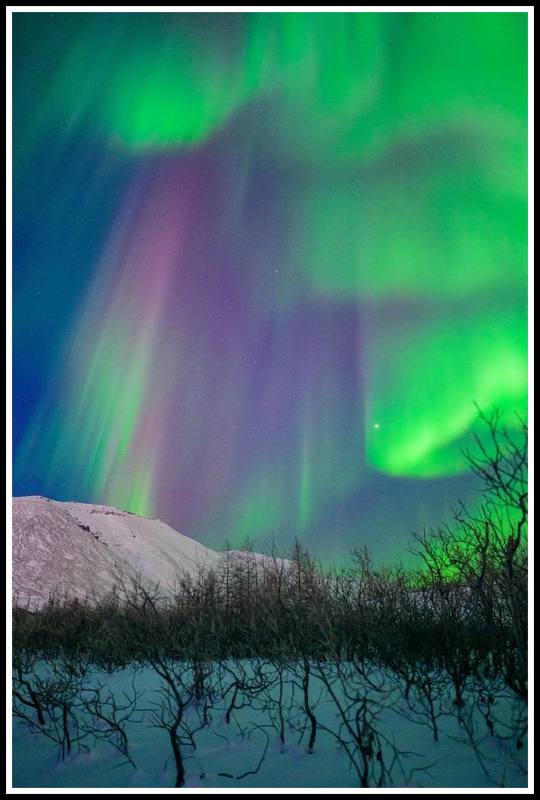 Таймыр сегодня фото превью