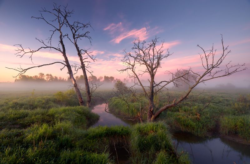 Шередарьский \