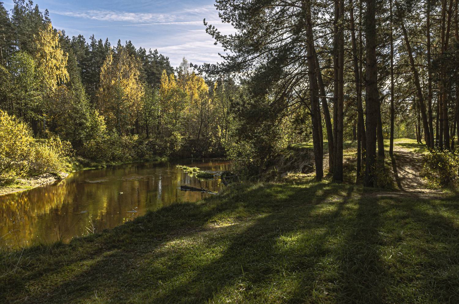, Шитов Александр
