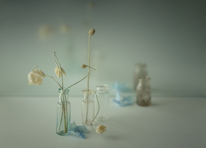 Gently... фото превью