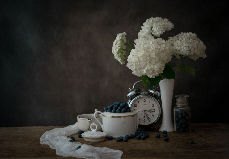 Гортензия фото превью