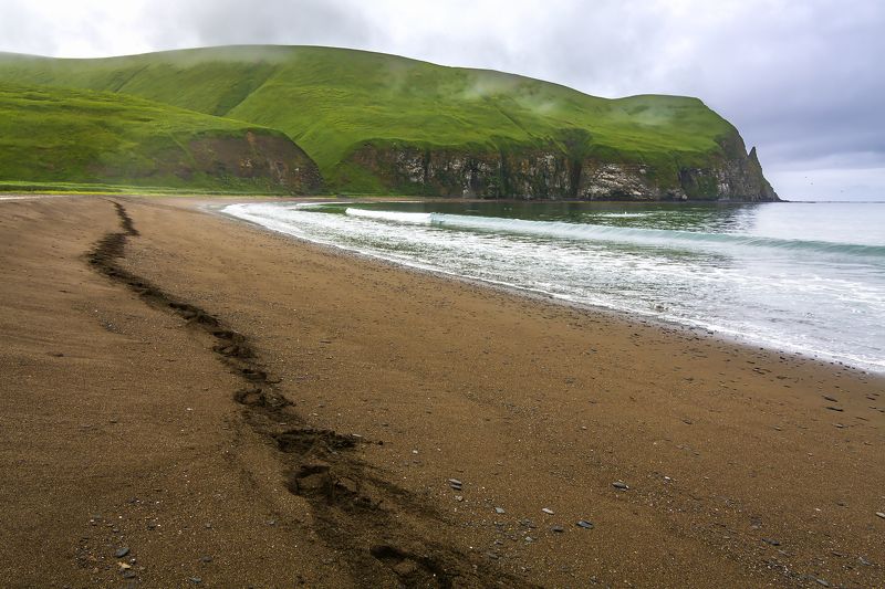 Ухожу я фото превью