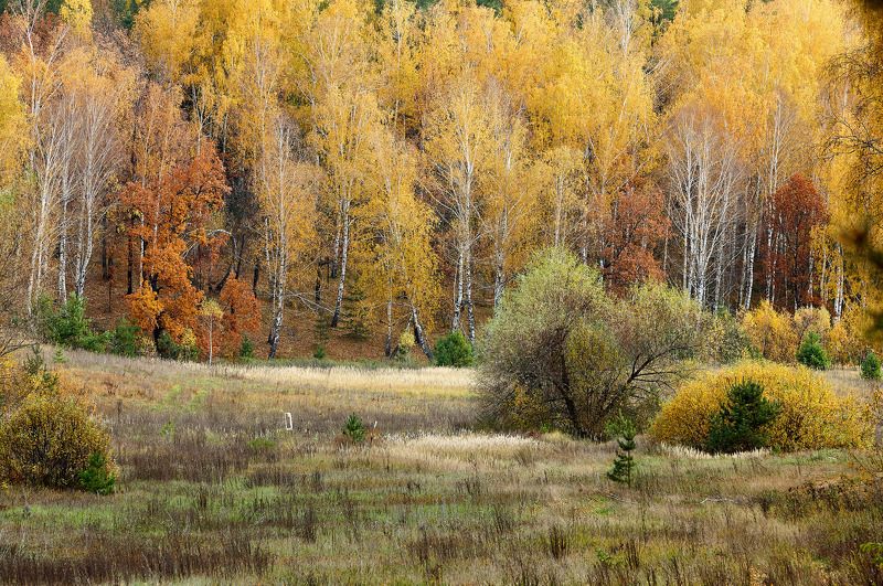 ***** фото превью