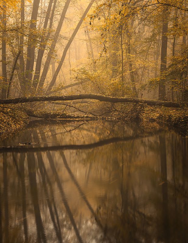 Autumn фото превью