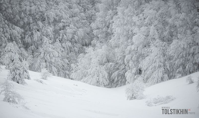 Скоро зима фото превью