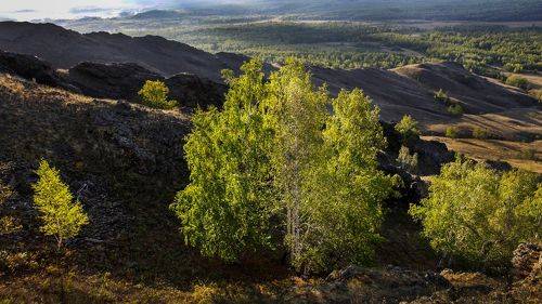 Утренний свет