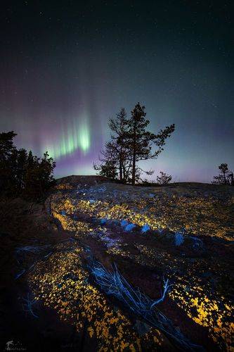 Камни больше не будут серыми