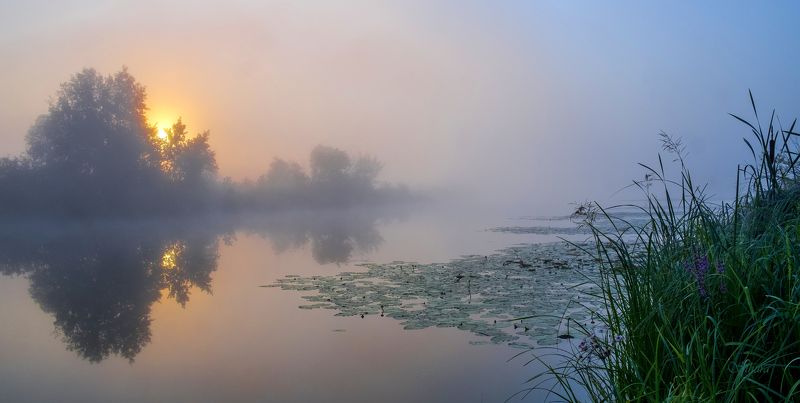 Лето. Рассвет. фото превью