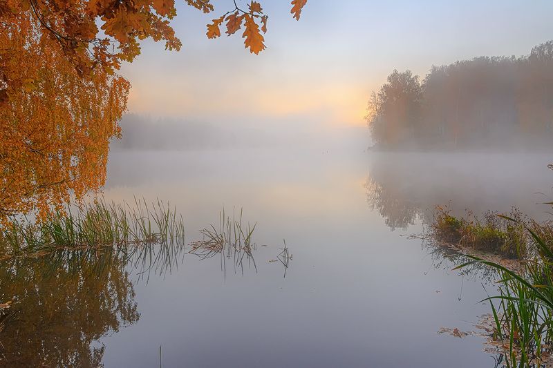 Светает. фото превью