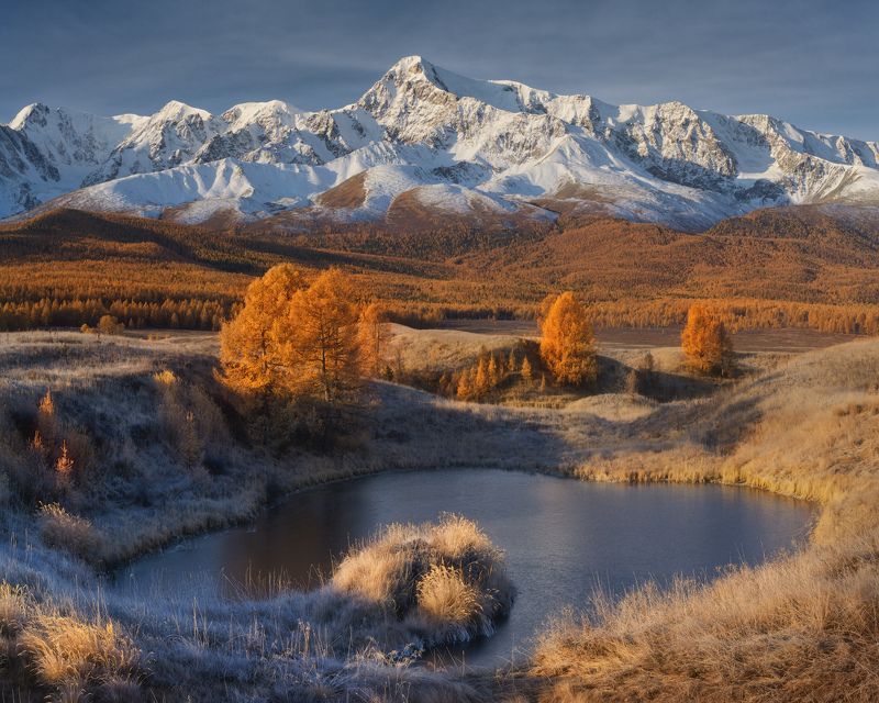 Алтайский кит фото превью