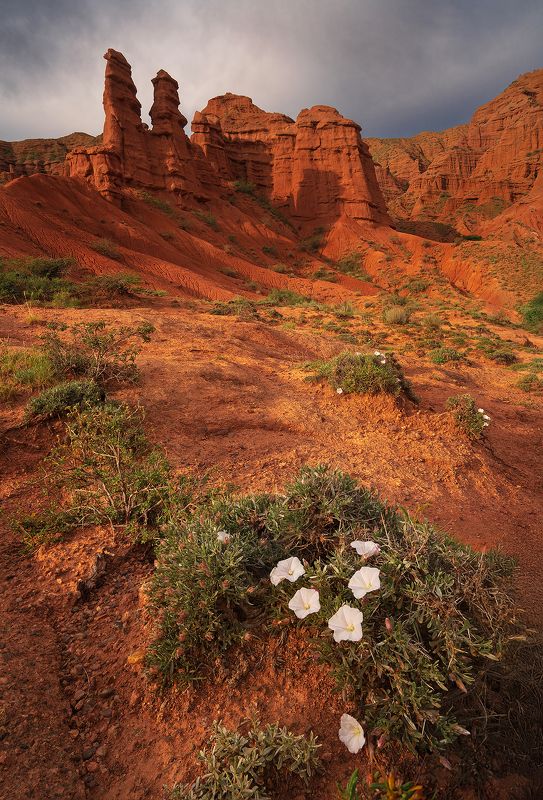 Красное золото каньона фото превью