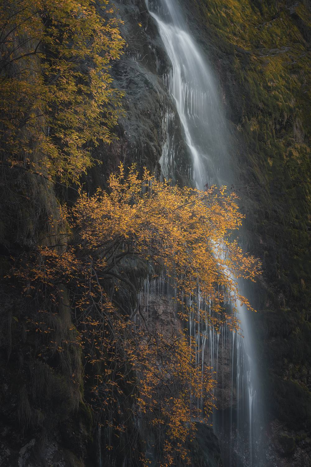 , de Franzoni Thomas