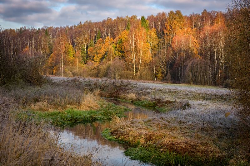 Поздняя осень фото превью