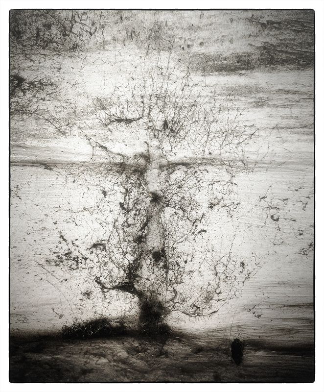 Паутина фото превью