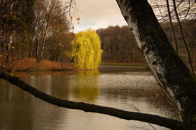 ** фото превью