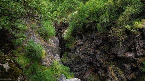 В скальном разломе...
