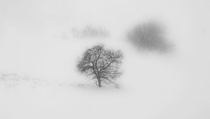 минимализм фото превью