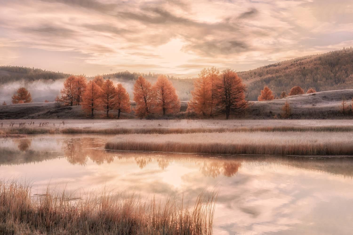 алтай, Гусева Елена