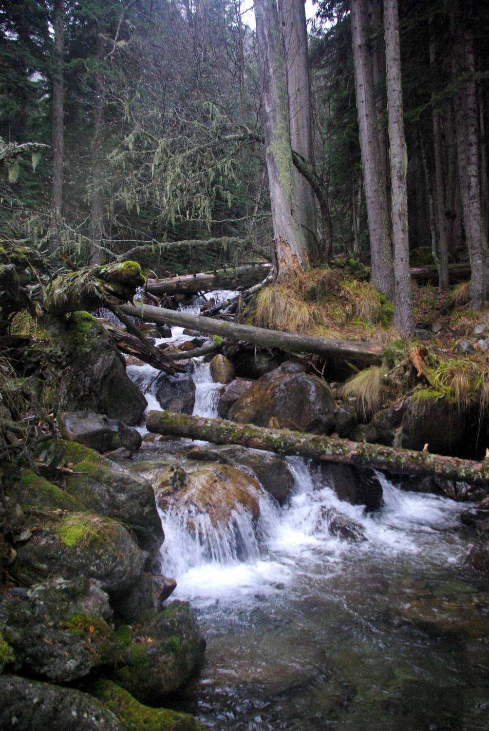 архыз, Андрей Любимов