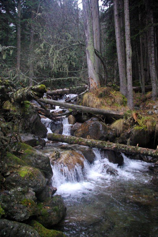 архыз Перекаты ... фото превью