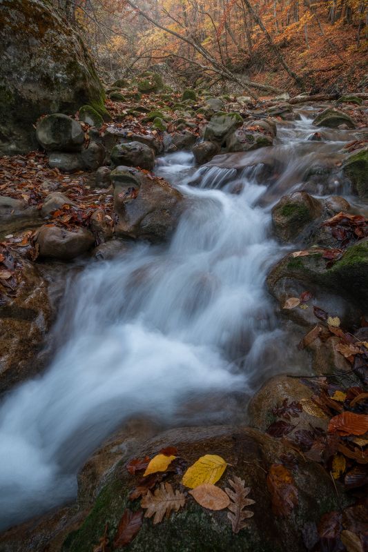 ... фото превью