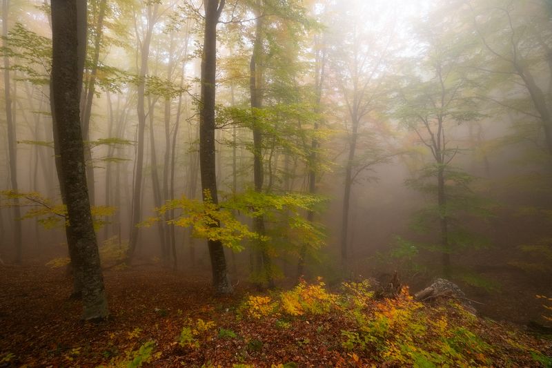 На склонах Демерджи фото превью