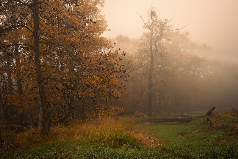 Autumn фото превью