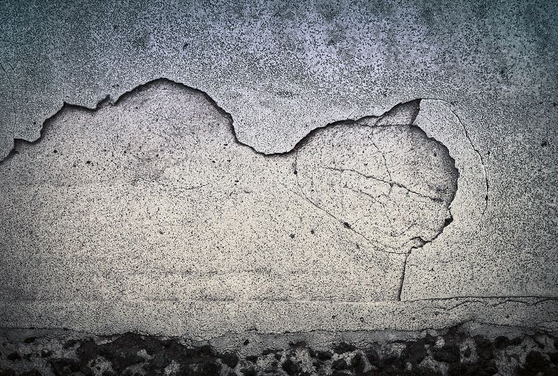 Дорожная кошка. фото превью