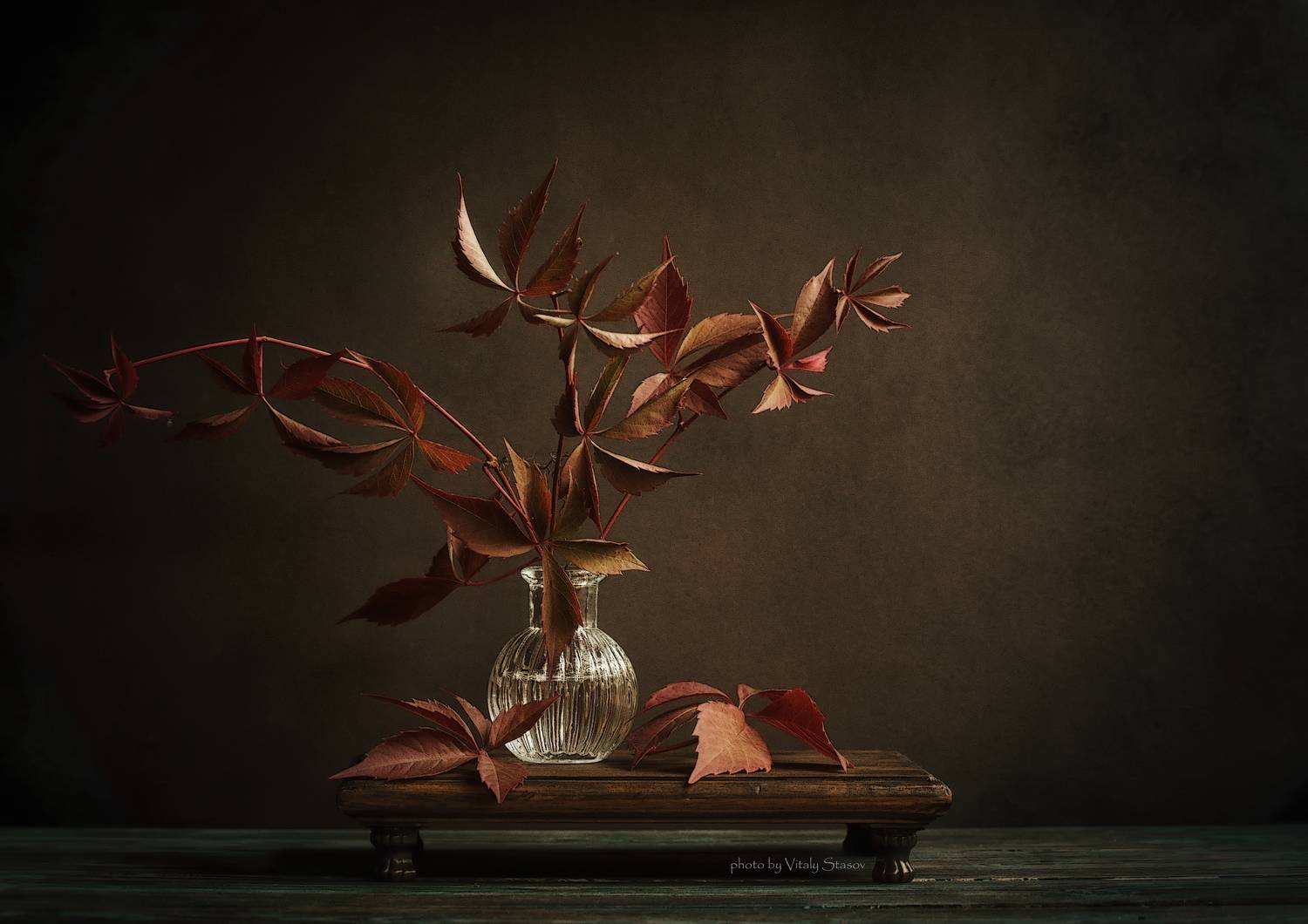 виноград, натюрморт, still life, ваза, листья дикого винограда, Стасов Виталий