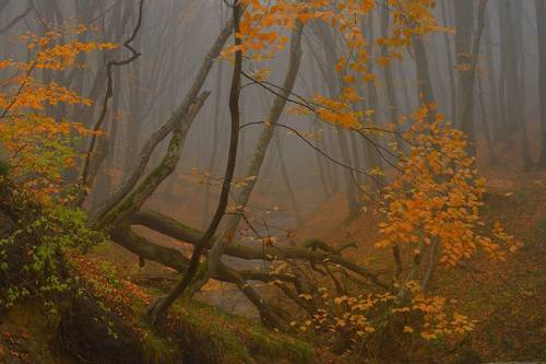 Осеннее утро