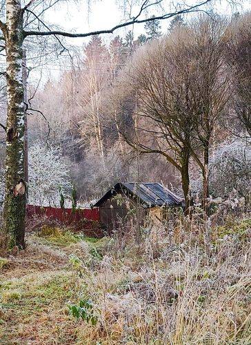 Ноябрьские заморозки