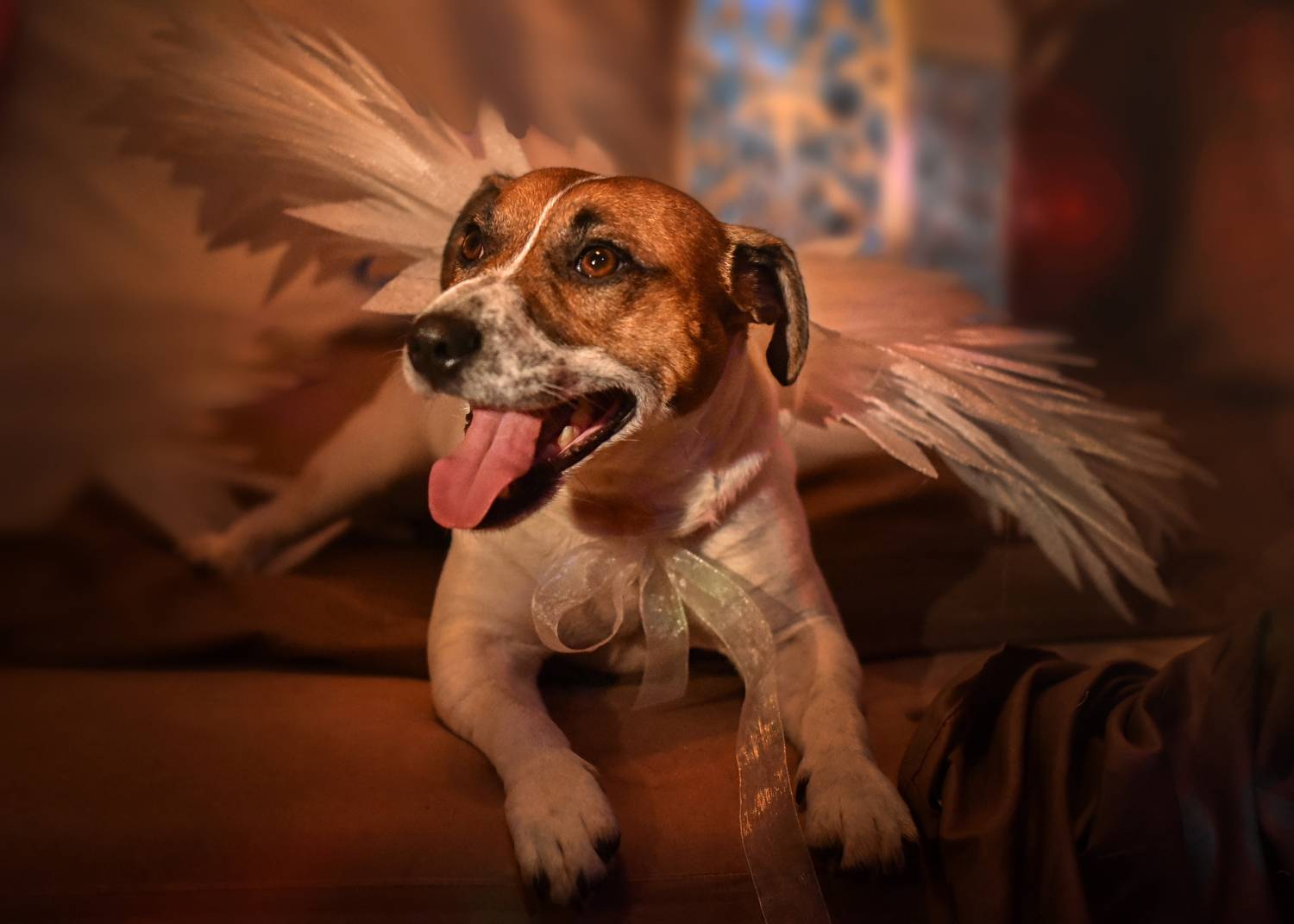 , Ушакова Елена