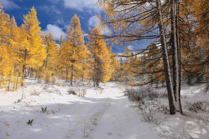 Осенние контрасты фото превью
