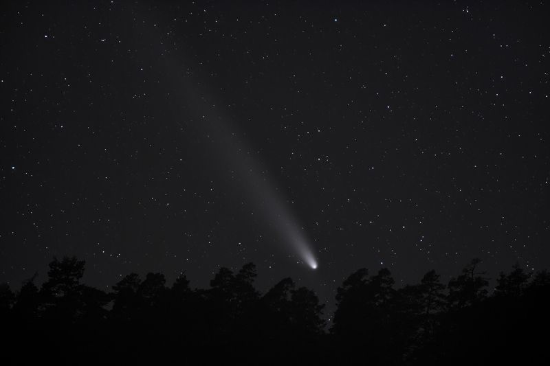 Комета C/2023 A3 (Tsuchinshan–ATLAS) над лесом фото превью