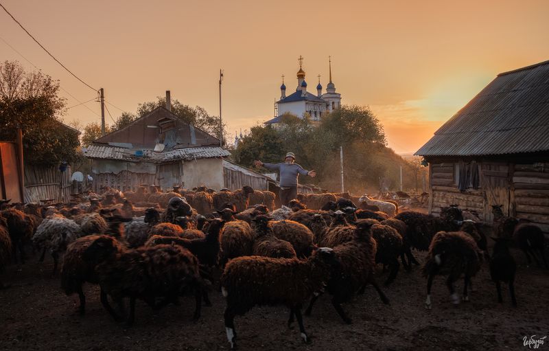 Дядя Саша из Епифани. фото превью