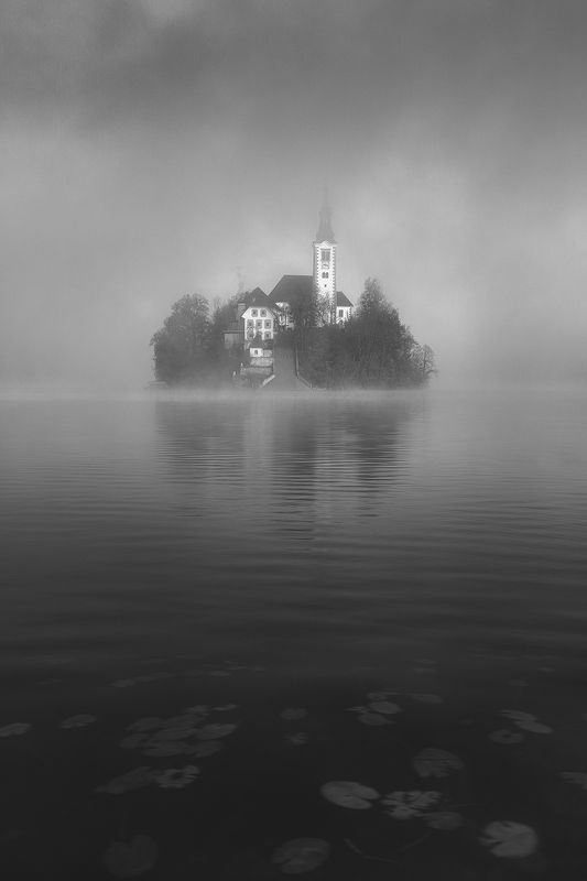 She Has a Tale to Tell фото превью
