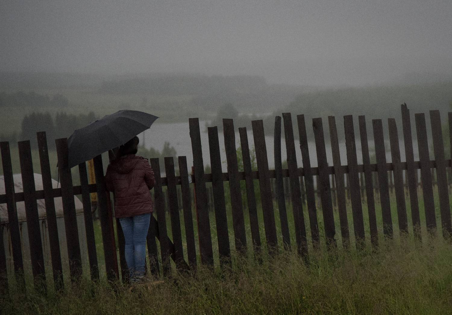 , Александр  Швачко