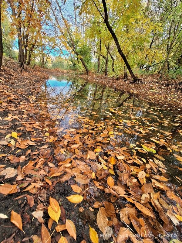 Осень. фото превью
