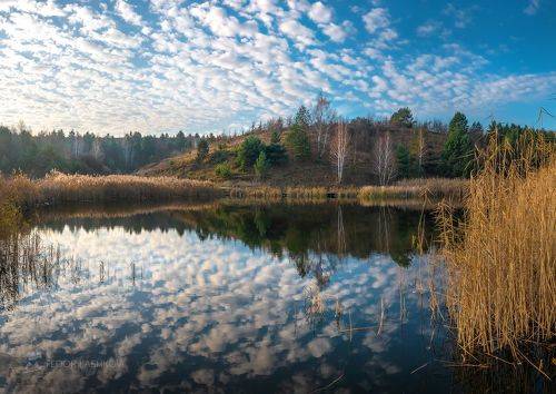 Ноябрьское утро