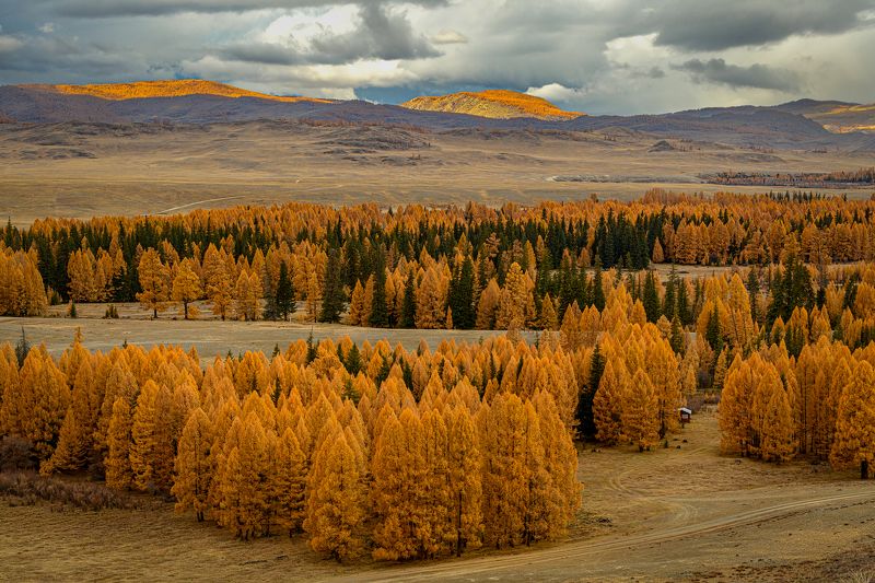алтай, осень, путешествие Золотая осень — прекрасная пора фото превью