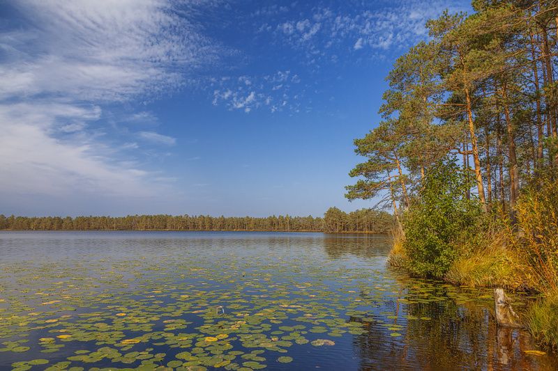 природа, небо, осень Осень. Озеро Худичево фото превью