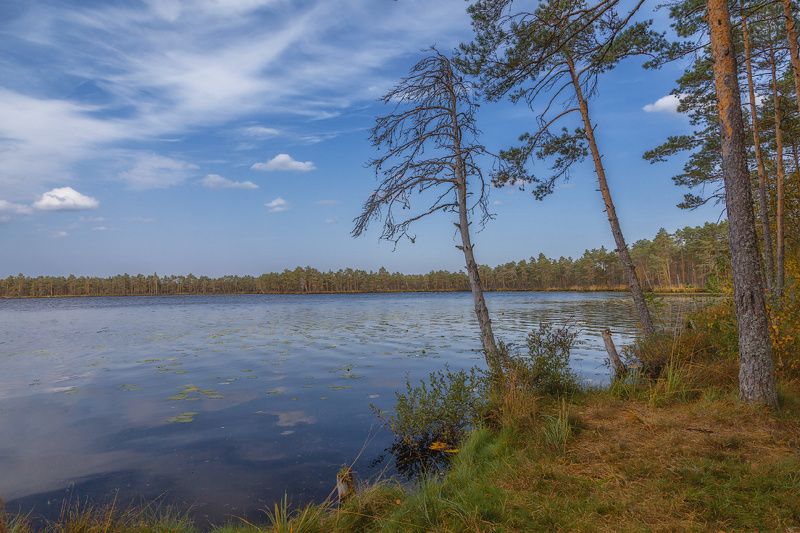 природа, небо, осень Осень... Озеро Худичево... фото превью
