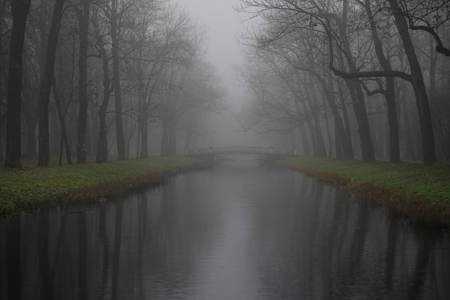 ,  Сергей Андреевич