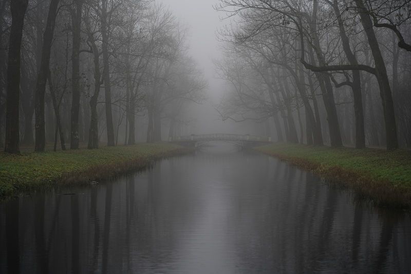 A morning in November фото превью